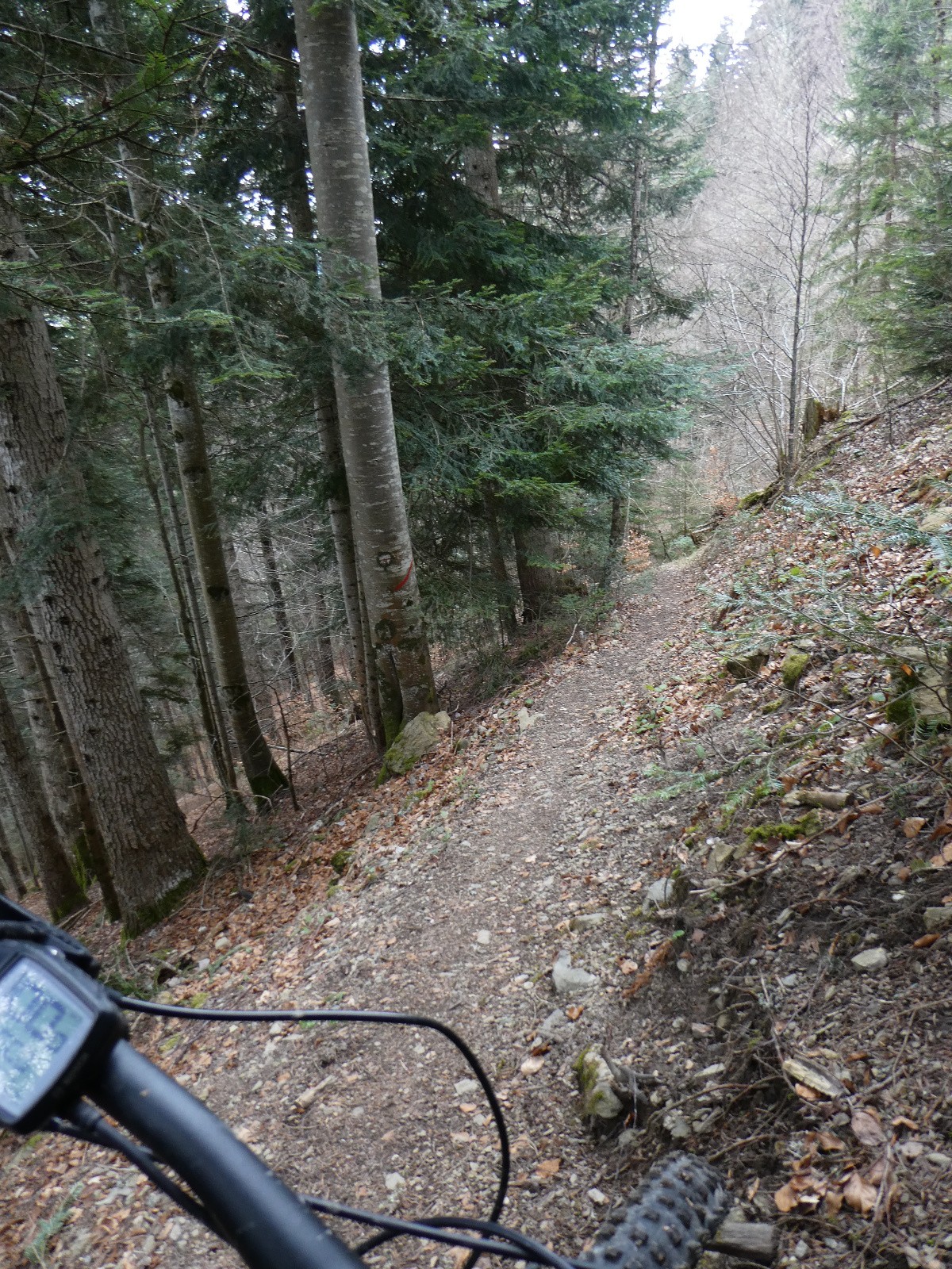 #8 Sentier des Murets Sentier des Murets