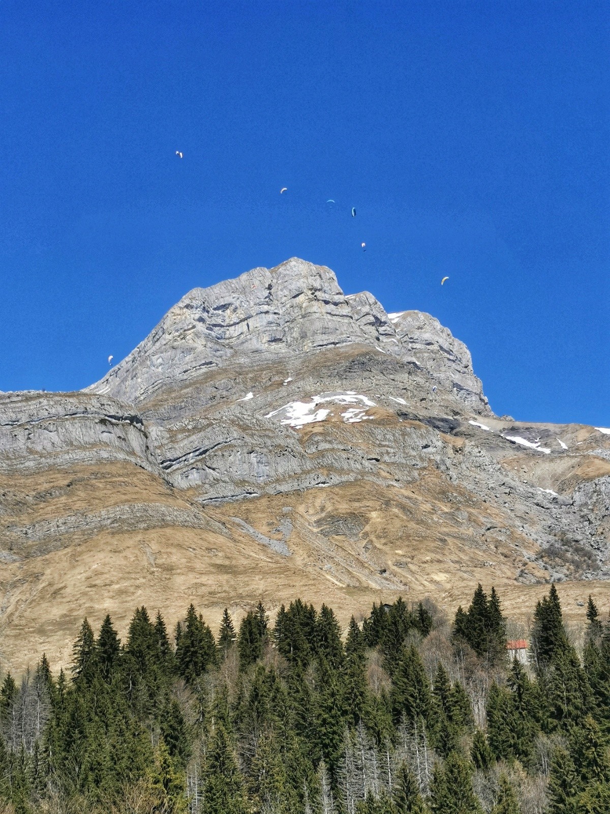 #4 Vole au-dessus des 4 têtes Vole au-dessus des 4 têtes