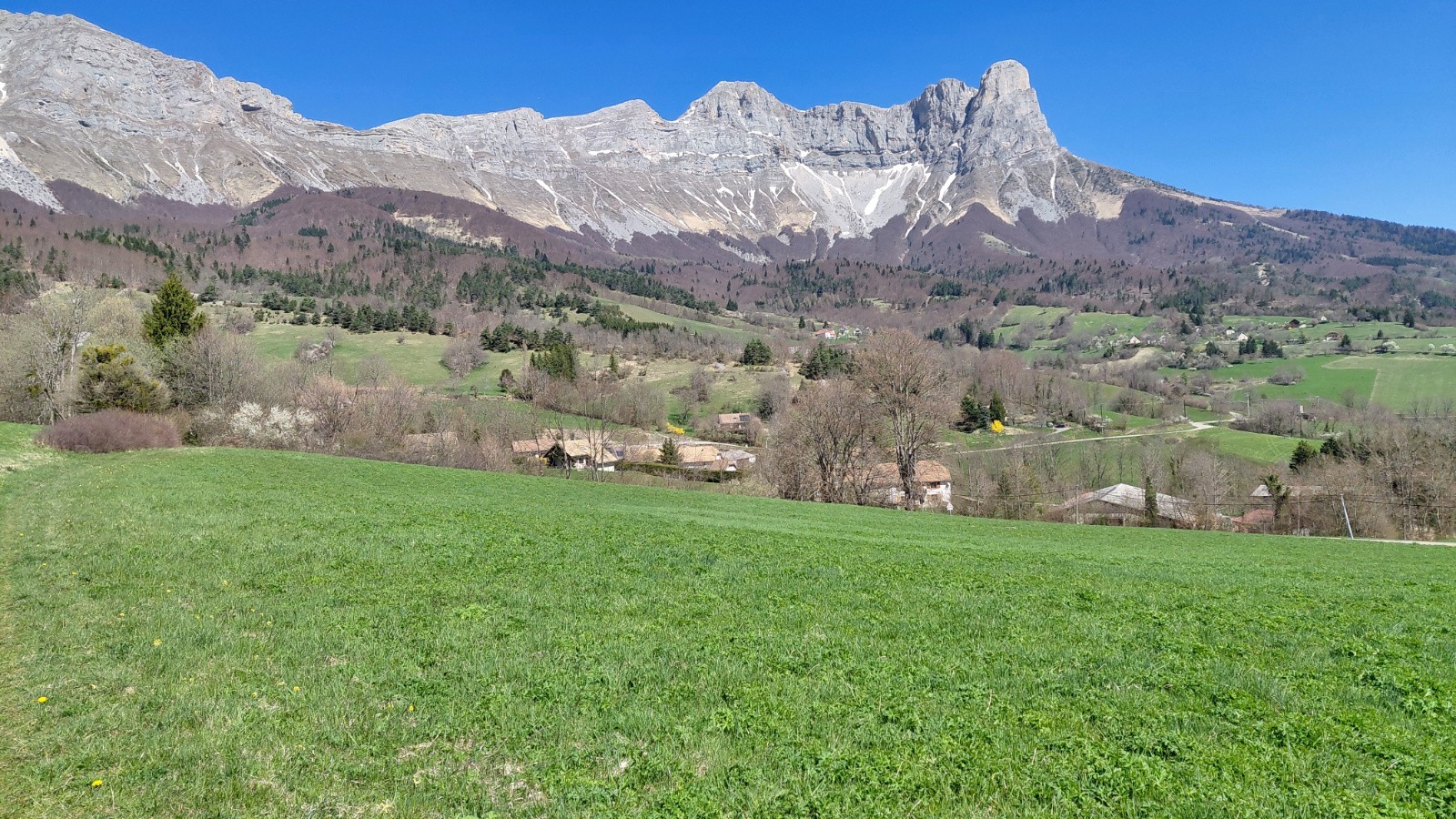 #4 Petite et Grande Moucherolle et les Deux Soeurs Petite et Grande Moucherolle et les Deux Soeurs