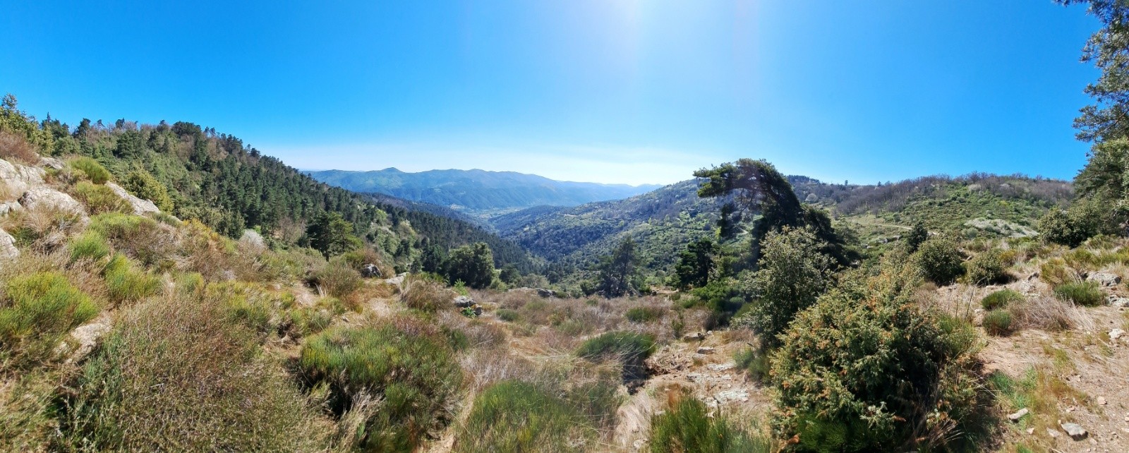 #10 Col d Col d'Aurelle - Panorama
