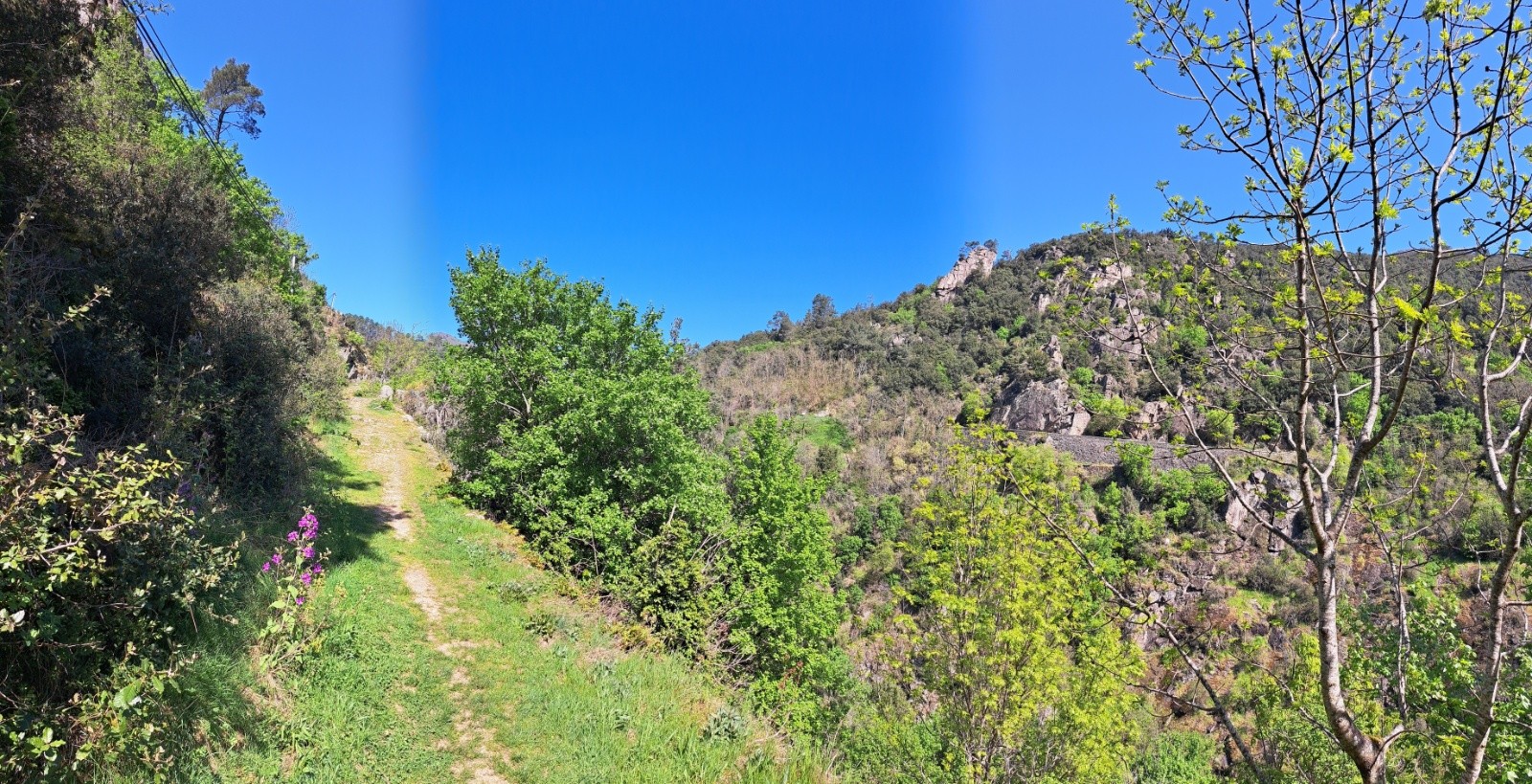 #2 Chemin des Jargnes Chemin des Jargnes