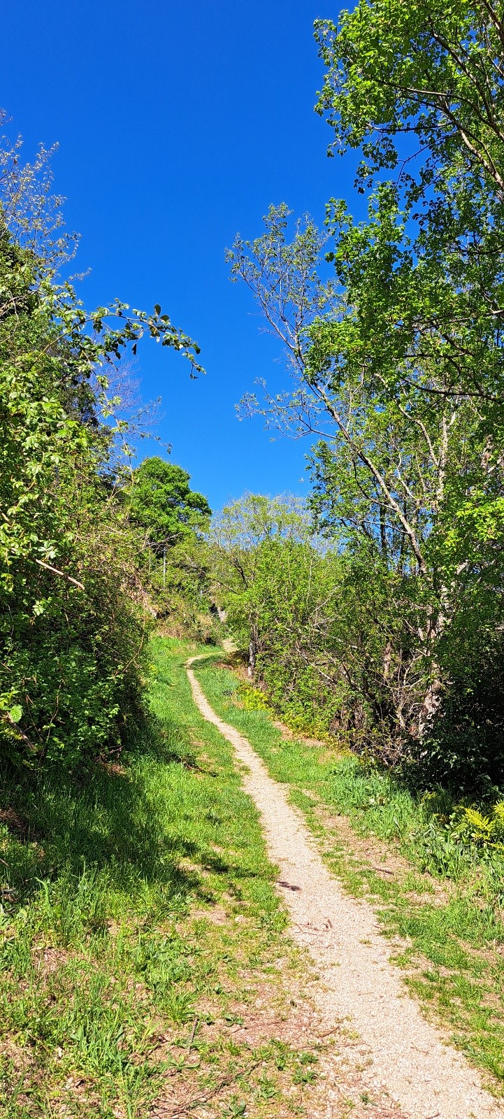 #1 Chemin des Jargnes Chemin des Jargnes