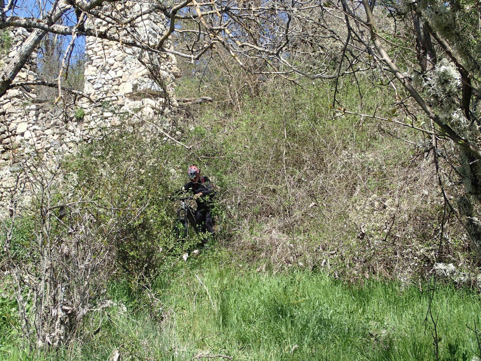 #15 La sortie du Ruisseau des Blaches est bien touffue ! La sortie du Ruisseau des Blaches est bien touffue !
