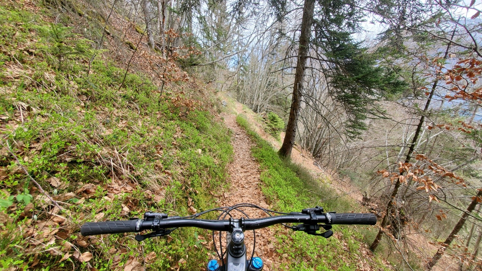 #15 Dans la descente de la Cochette Dans la descente de la Cochette
