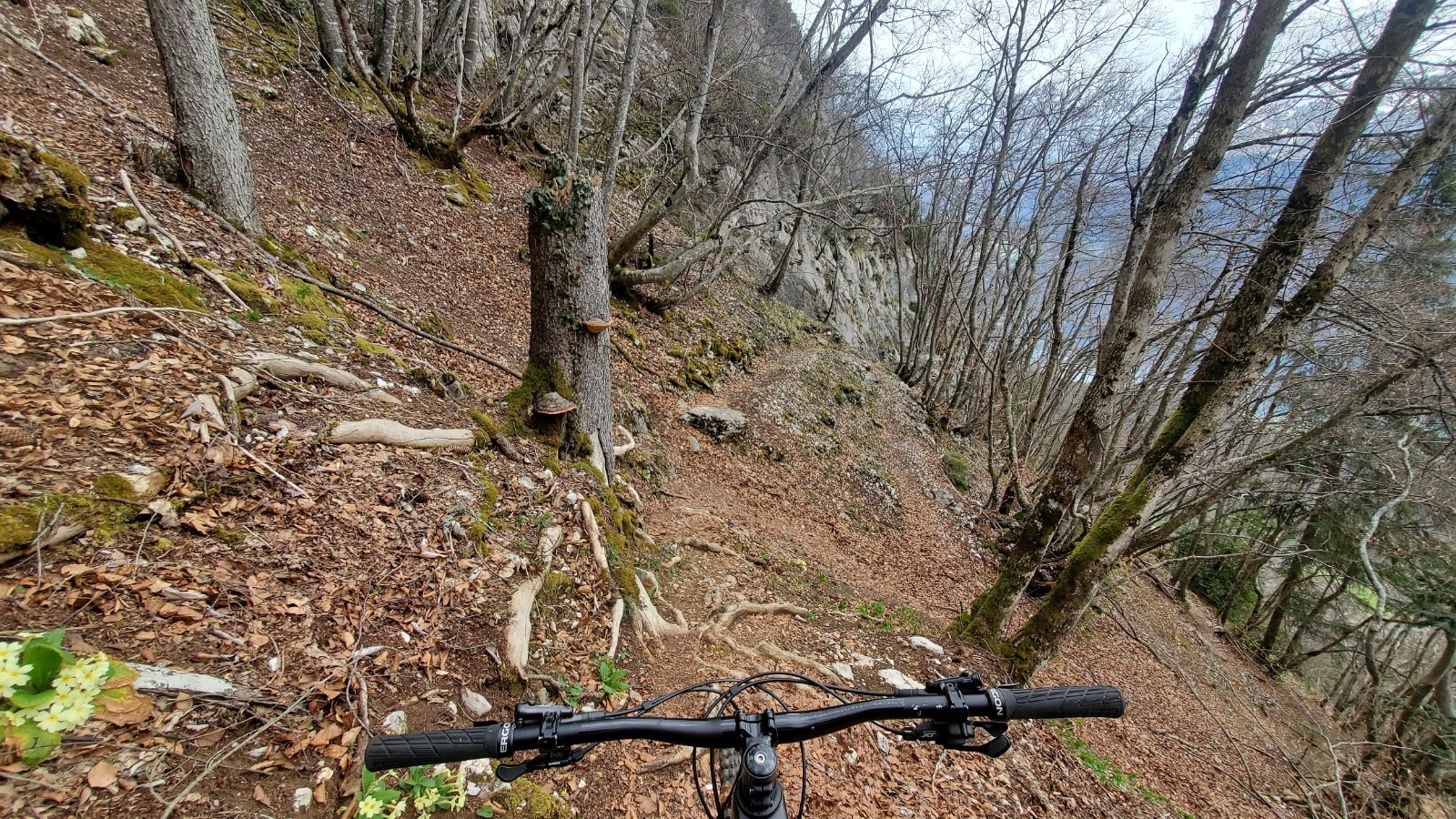 #9 Dans la descente de la Cochette Dans la descente de la Cochette