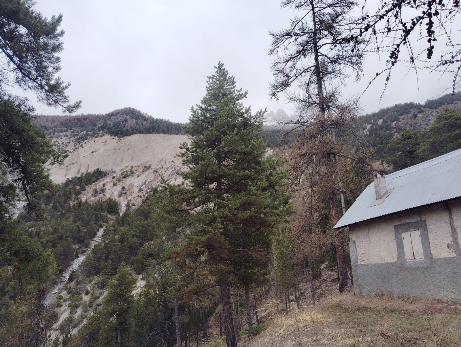 #3 Cabane de Bois Durat et demoiselles de Merdanel en fond Cabane de Bois Durat et demoiselles de Merdanel en fond