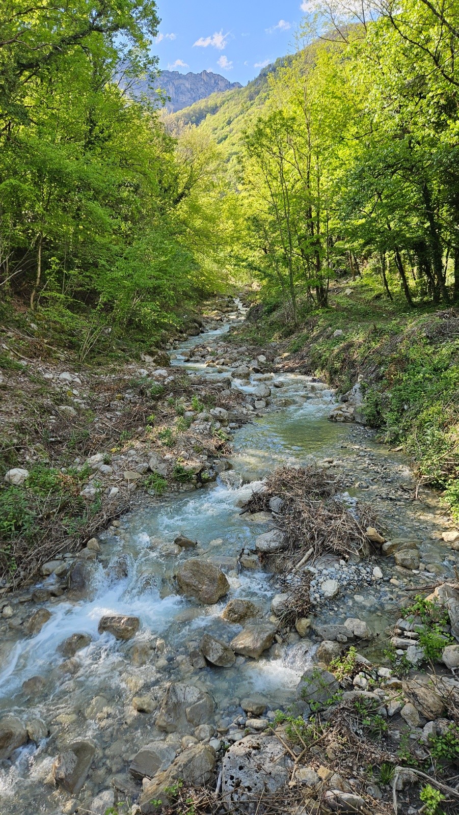 #3