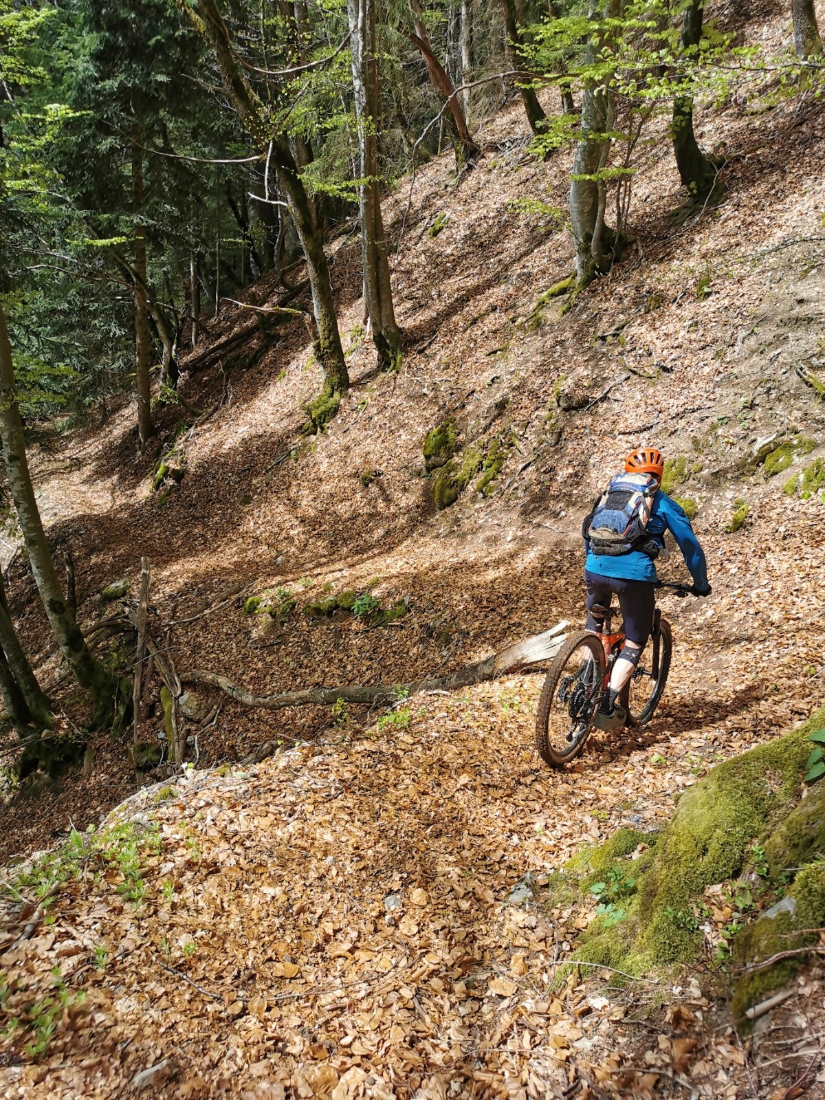 Descente Echauds