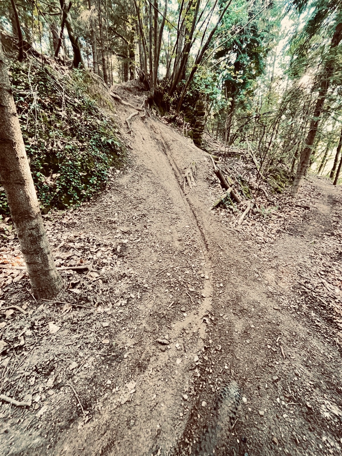 #8