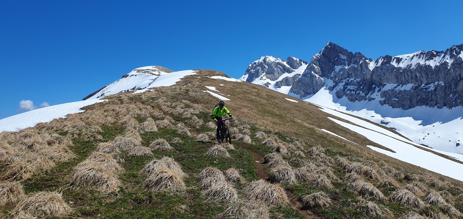 #14 Trop bien le sentier dans les touffes de chiendent. Trop bien le sentier dans les touffes de chiendent.