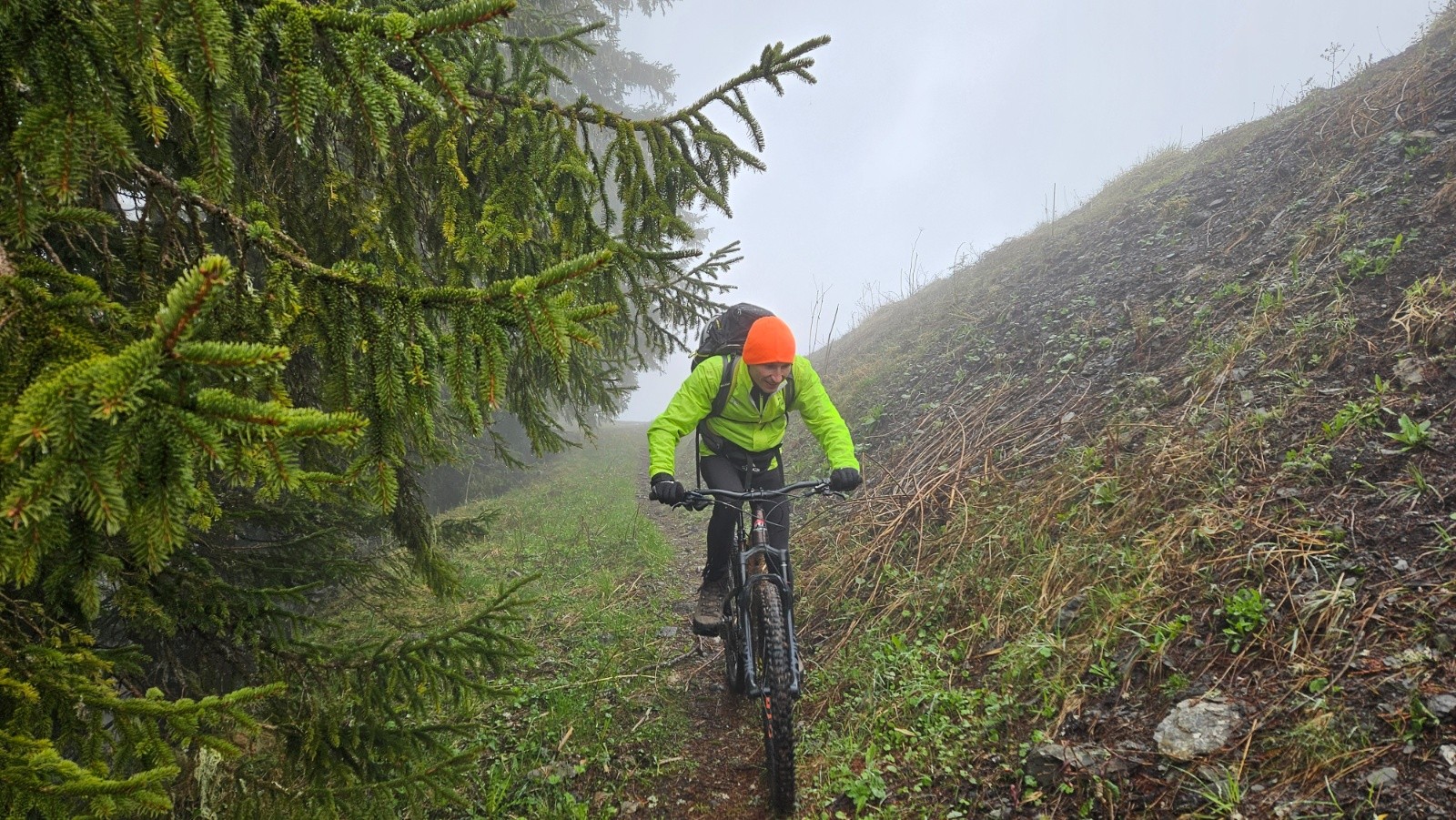 #3 Bonjour le brouillard. Bonjour le brouillard.