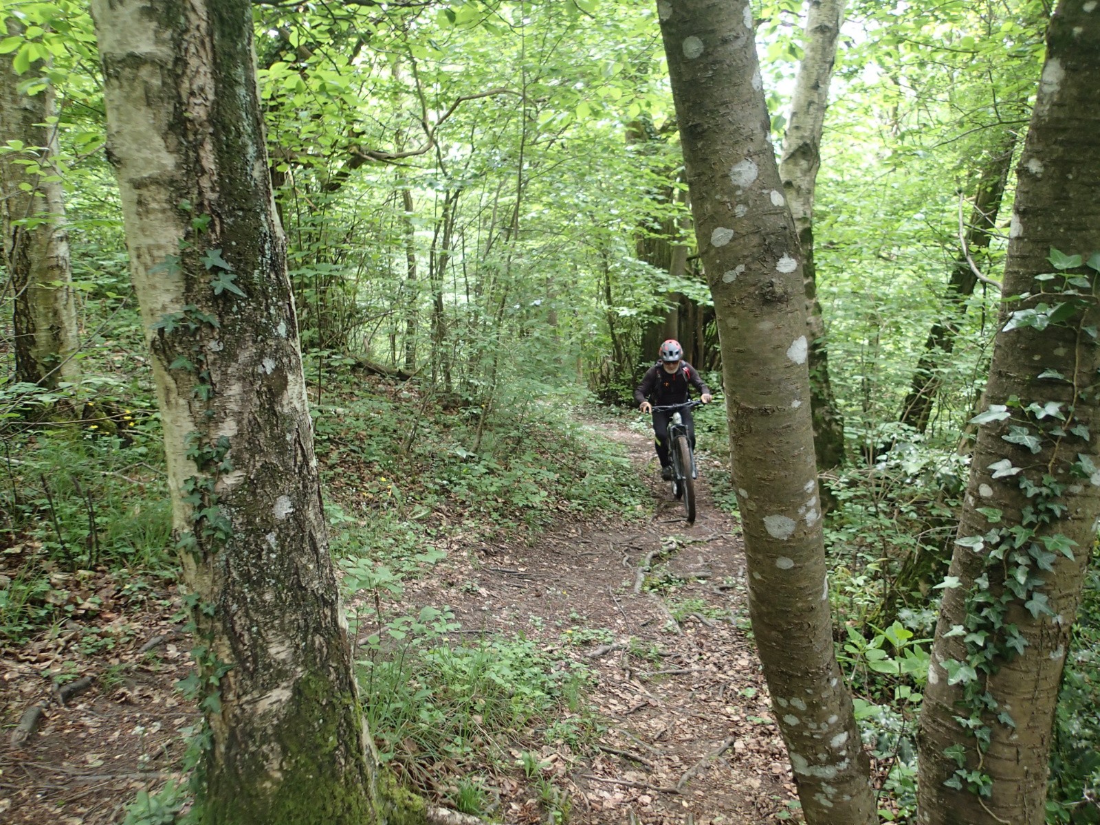 #20 'Tention aux ch'tites racines fourbes !