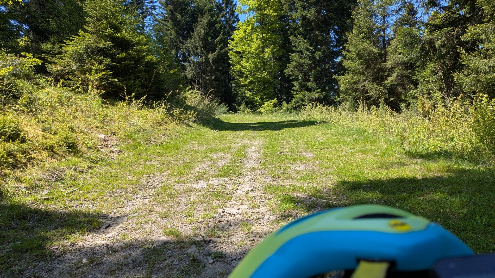 #8 piste herbeuse pour éviter la route piste herbeuse pour éviter la route