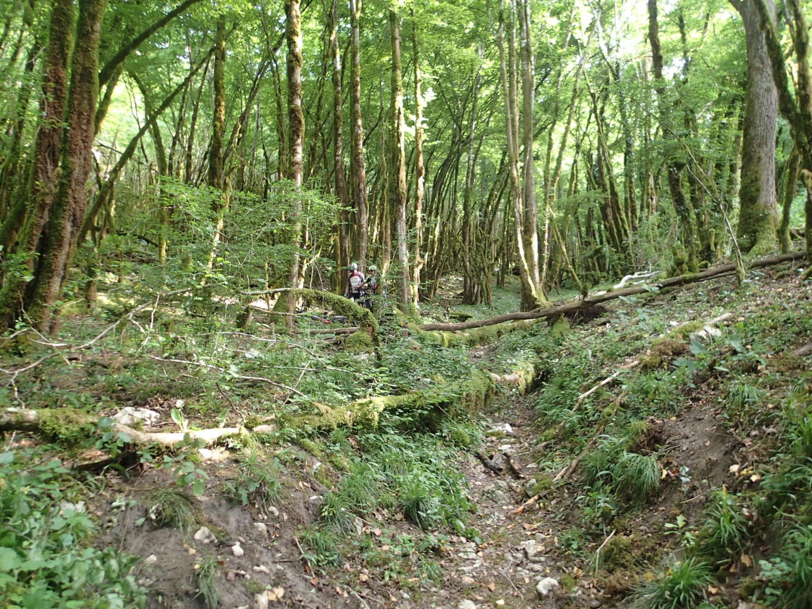 #15 Une sortie dans le Bugey sans jardinage aurait un goût d Une sortie dans le Bugey sans jardinage aurait un goût d'inachevé !