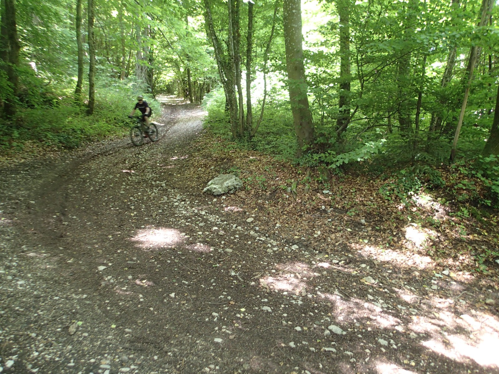 #15 Dans la descente vers la vallée ... Dans la descente vers la vallée ...