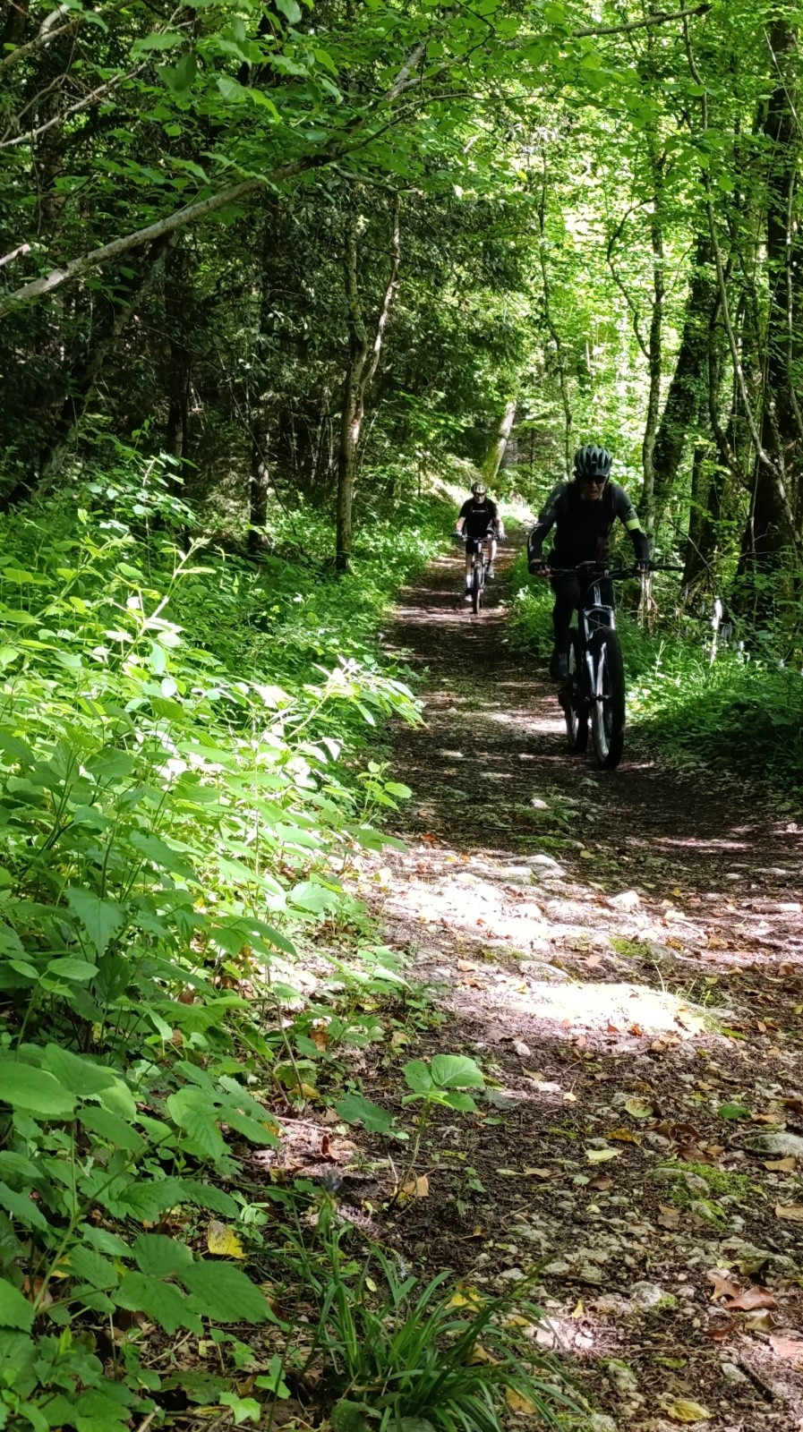 #9 Dans la verte forêt de Rochebrune Dans la verte forêt de Rochebrune