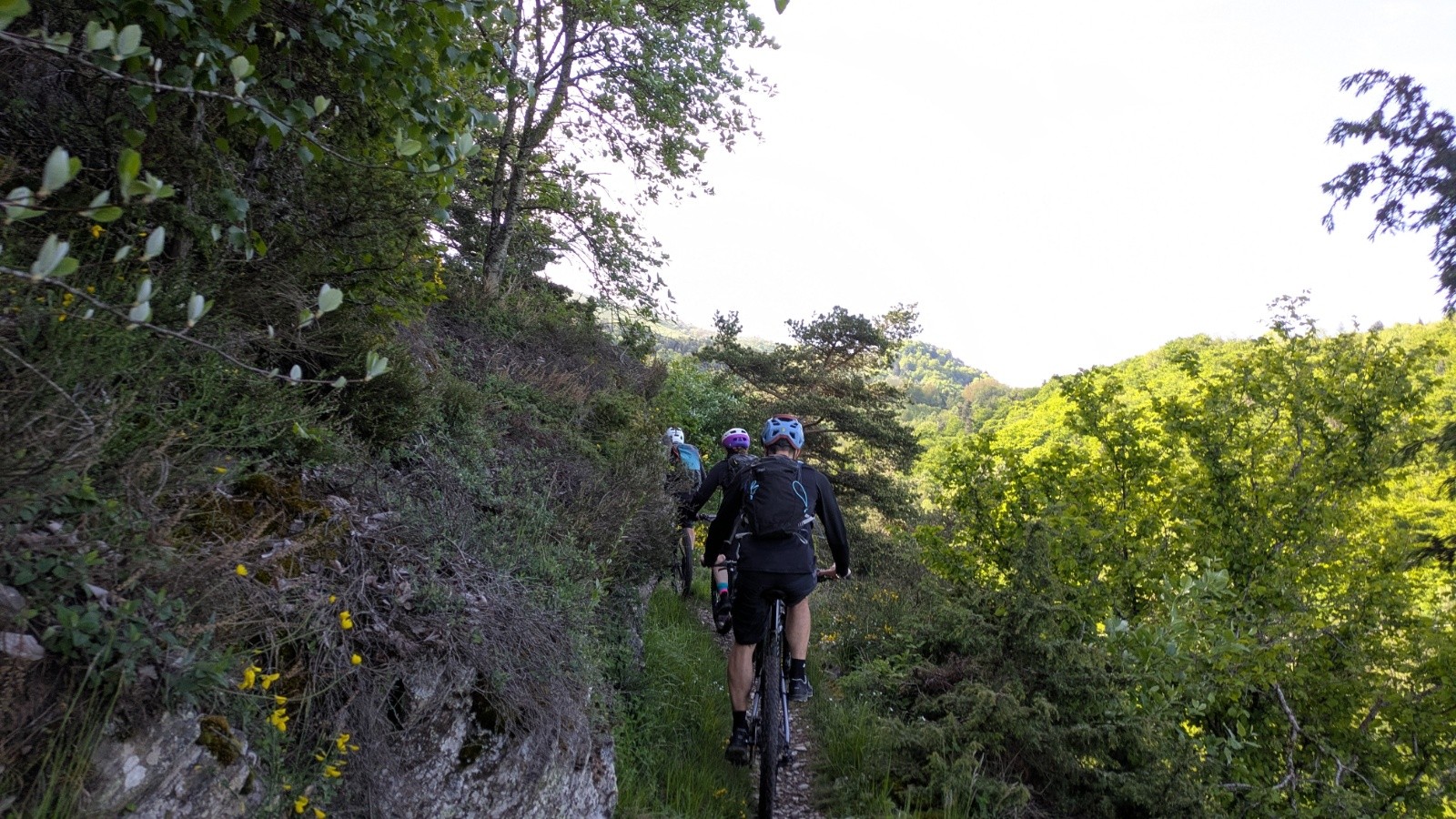 #2 pour sortir aux Signaraux pour sortir aux Signaraux