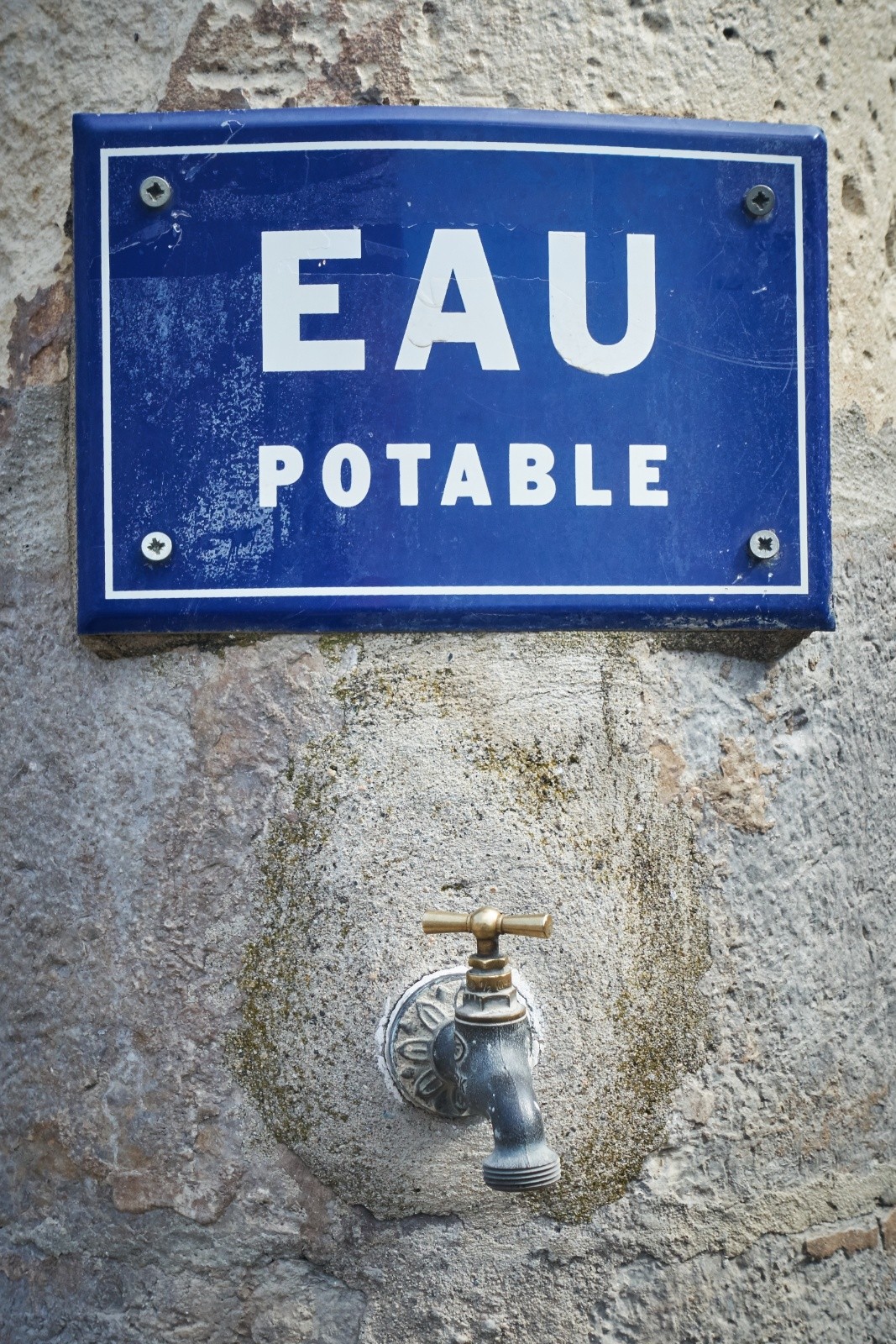 #24 Pas si courante ici. Pas si courante ici.