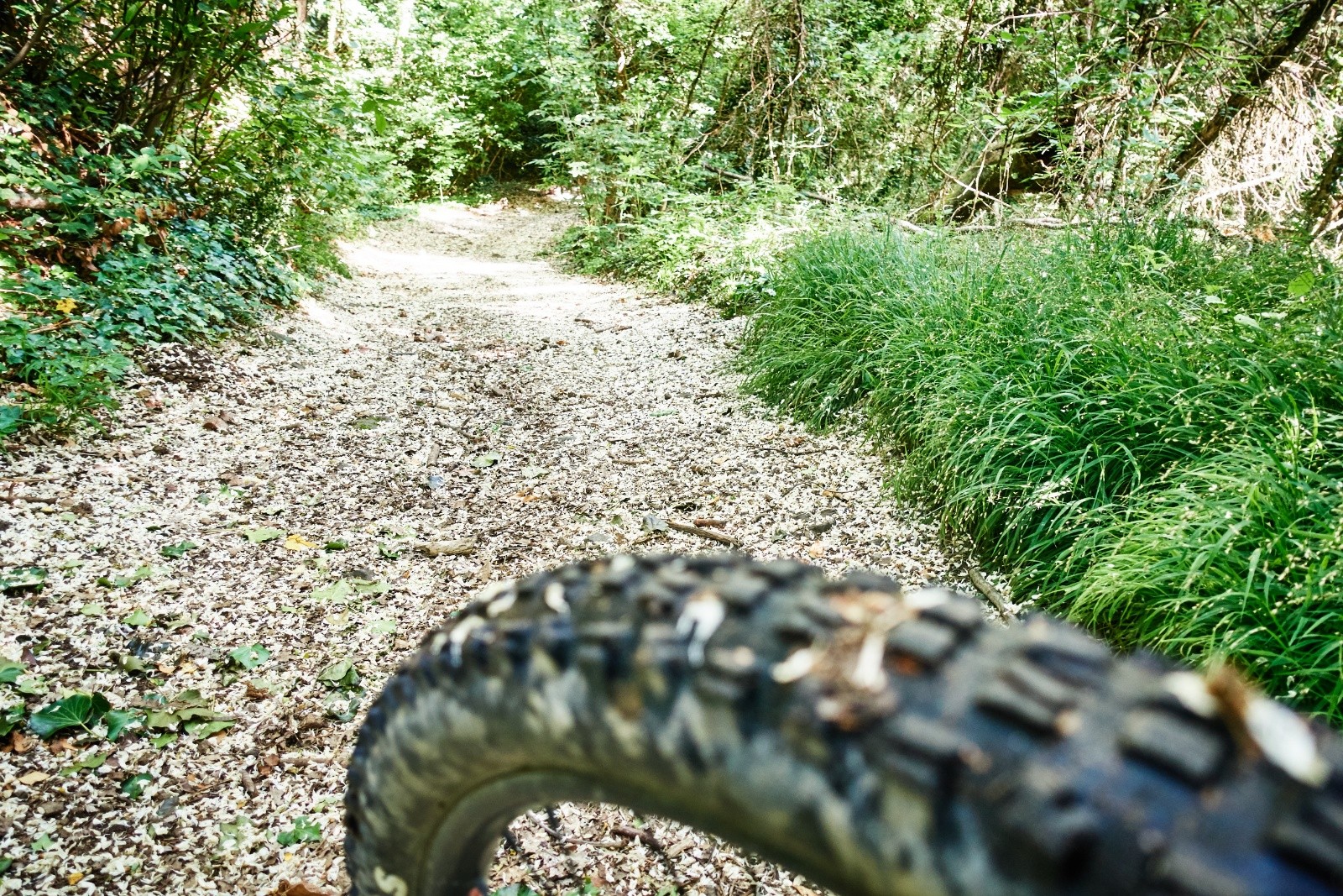 #4 L L'Ardèche, ce n'est pas que les châtaigniers. Ici, la piste est recouverte d'une pellicule de fleurs blanches d'acacia !