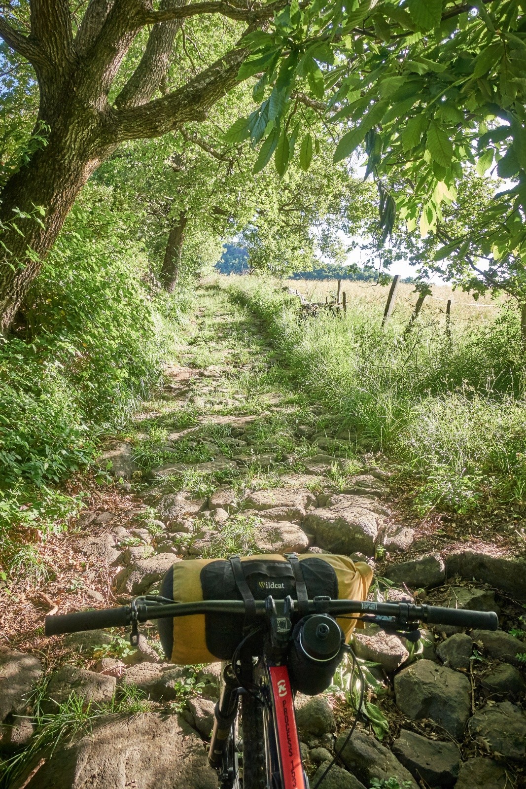 #1 Les pistes du Coiron ne sont pas trop adaptées à la pratique gravel ! Les pistes du Coiron ne sont pas trop adaptées à la pratique gravel !