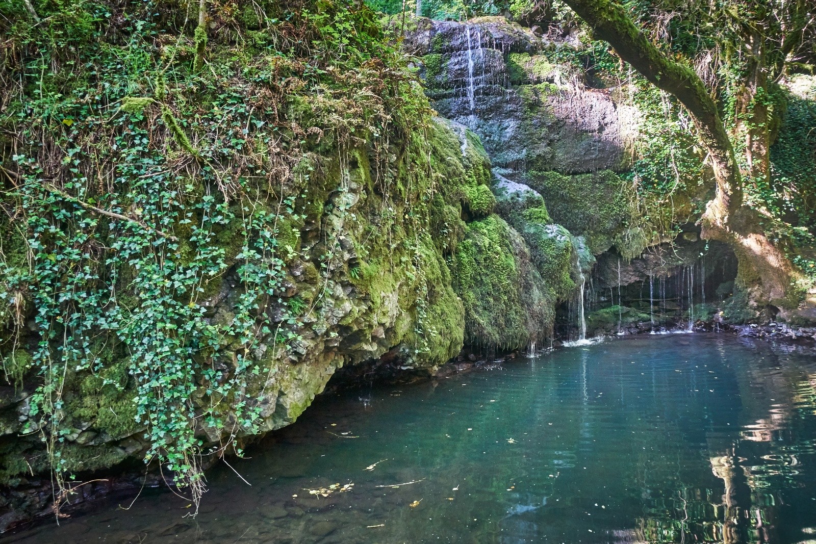 #3 Une petite cascade surprise dans le ruisseau du Gournier. Une petite cascade surprise dans le ruisseau du Gournier.