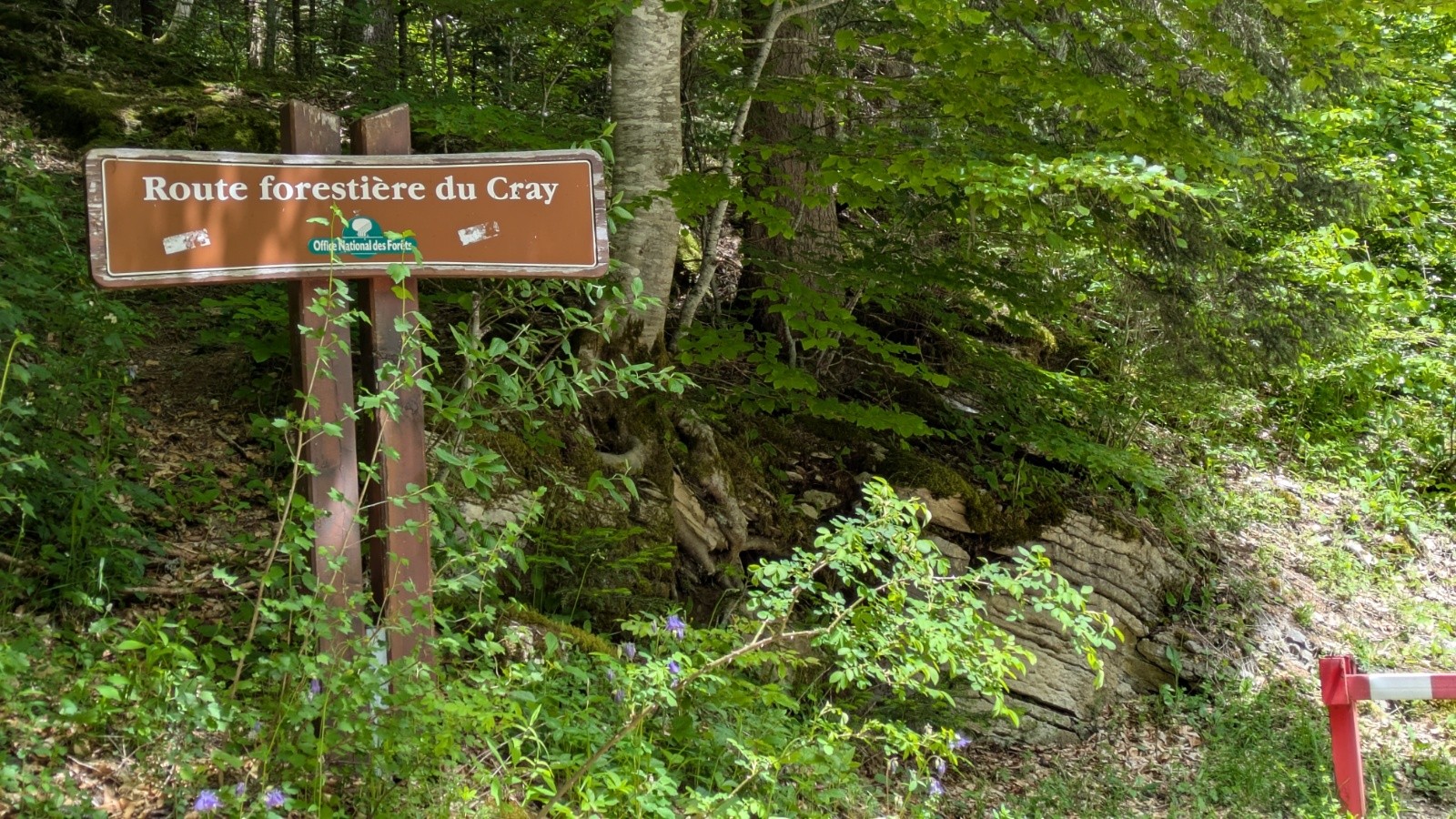 #15 le Cray est partout le Cray est partout