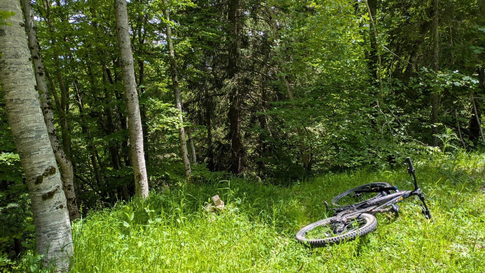 #17 départ enduro des Narces départ enduro des Narces