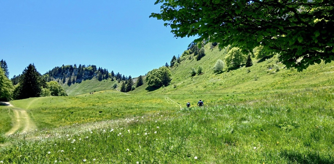Jour -1  on évite Charande et ses racines.