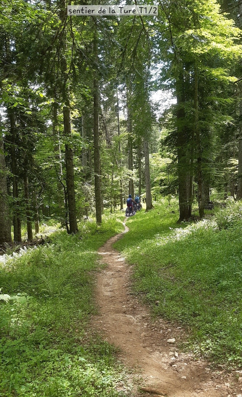  Sentier de la Ture 