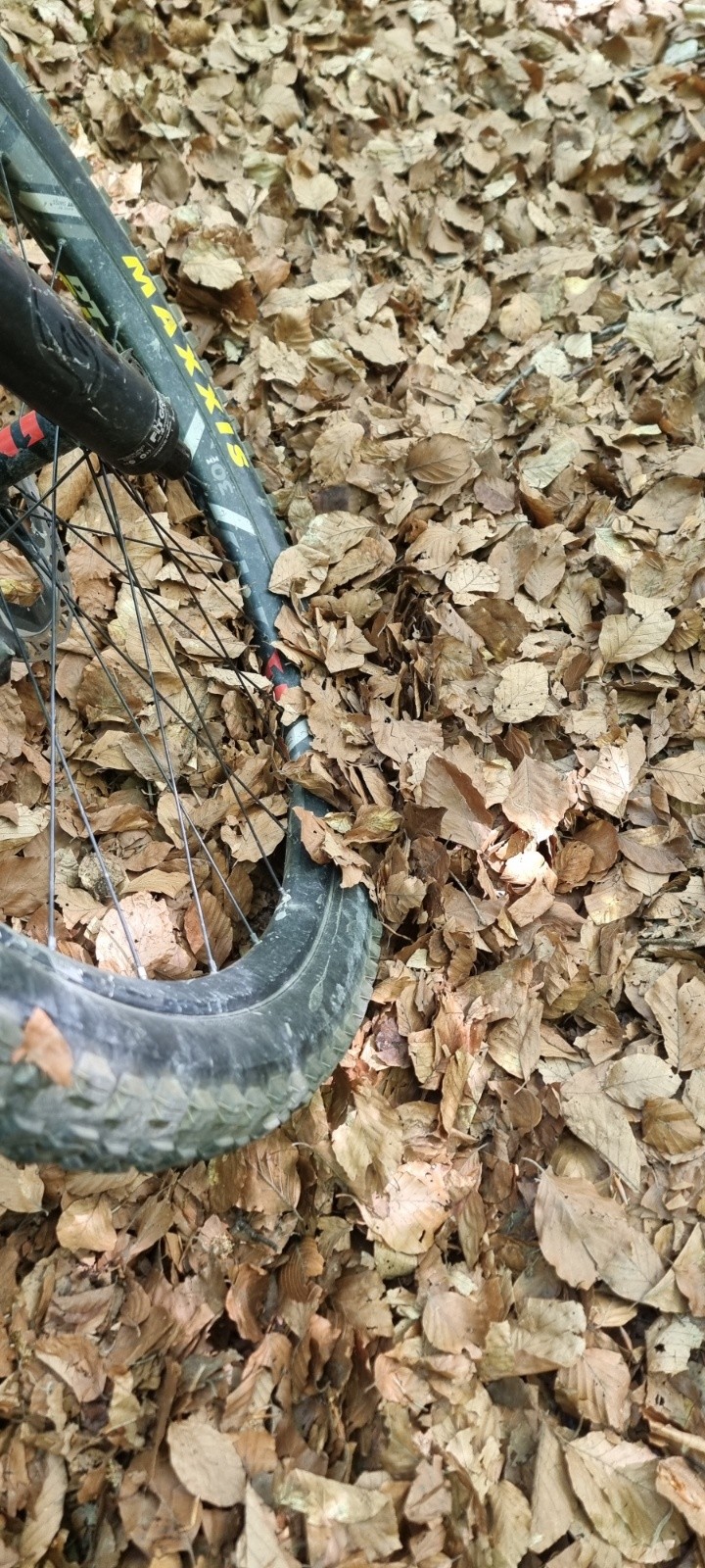 #4 Le sentier des feuilles mortes le bien nommé Le sentier des feuilles mortes le bien nommé