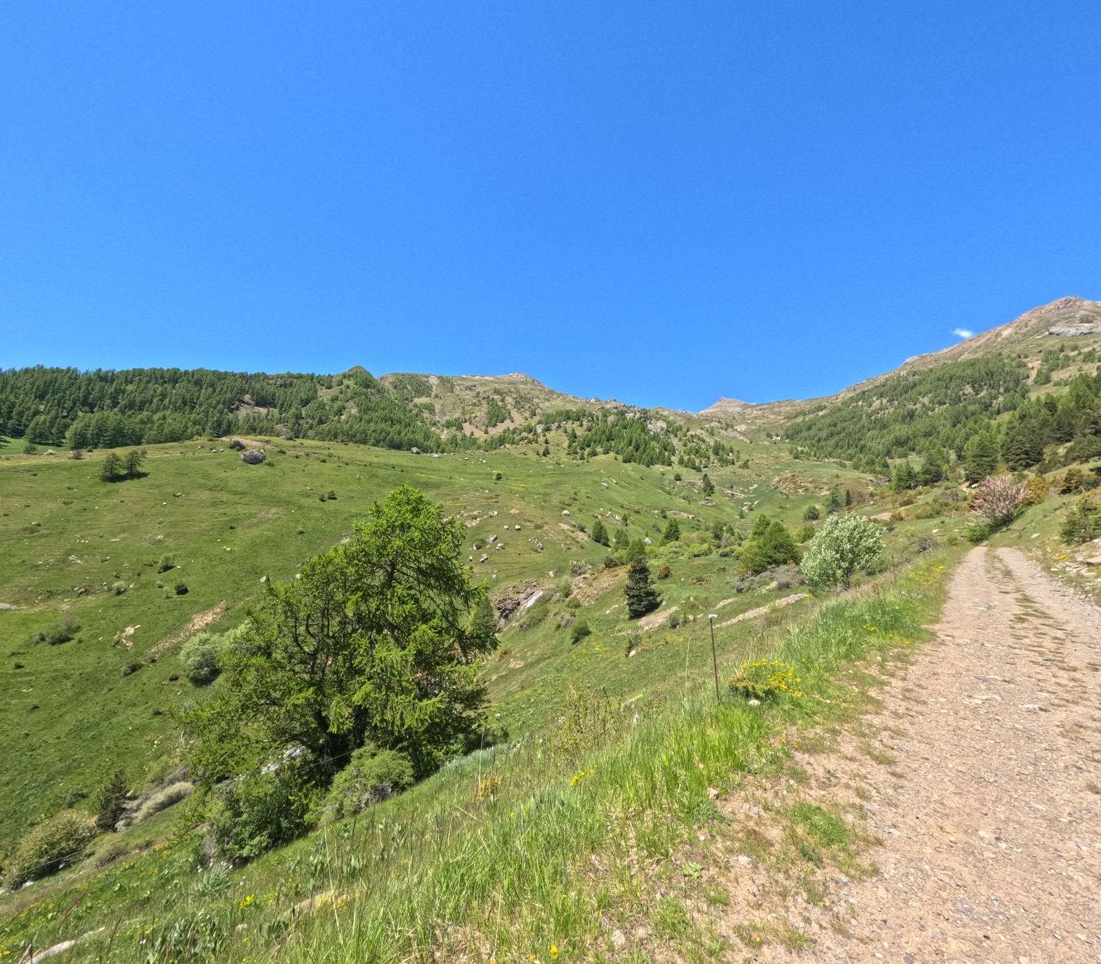 #10 Direction Col du Palastre Direction Col du Palastre