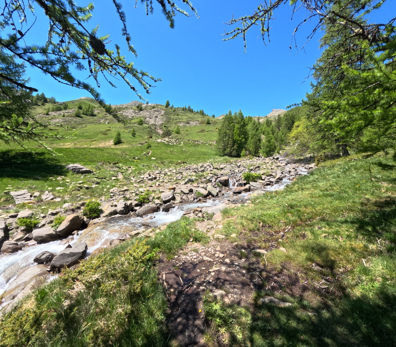#11 Direction Col du Palastre Direction Col du Palastre