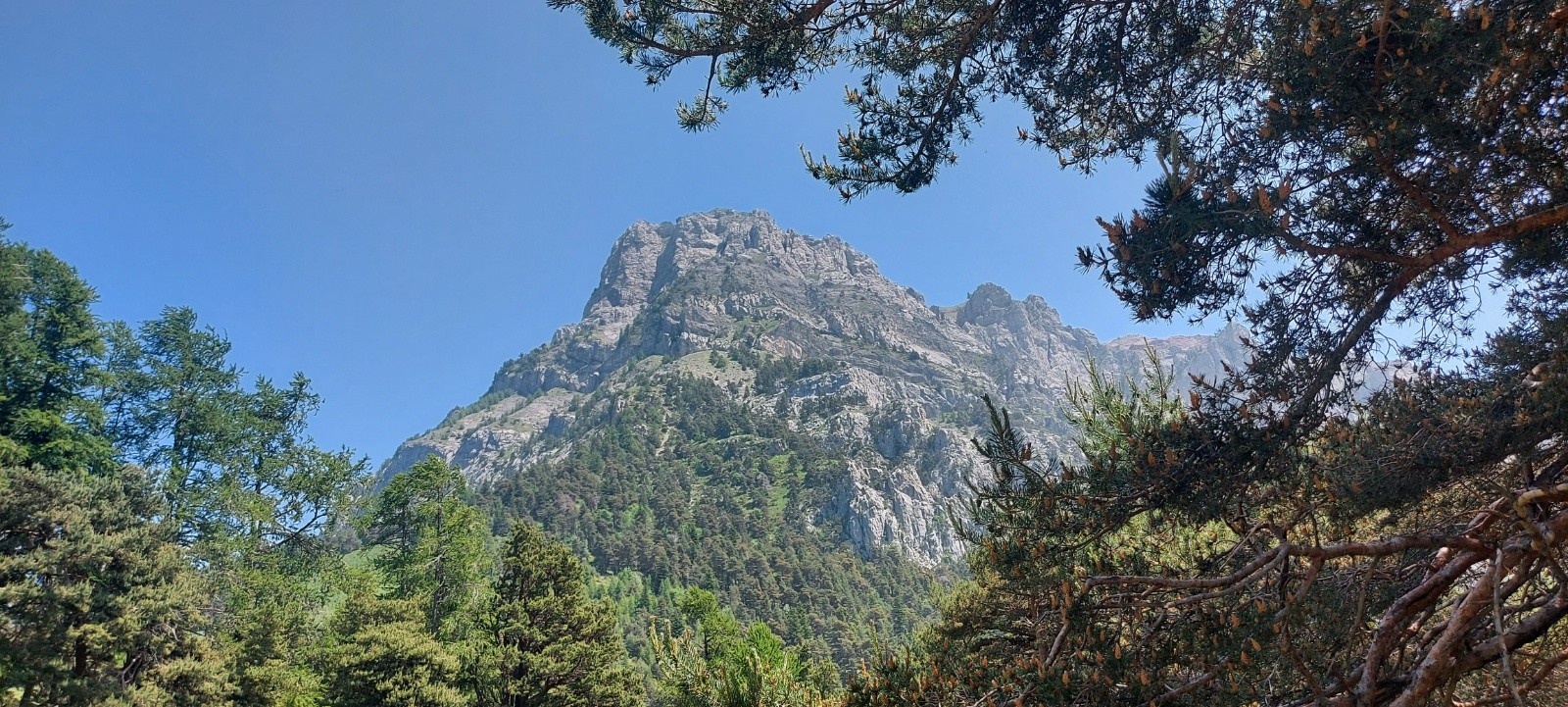 #2