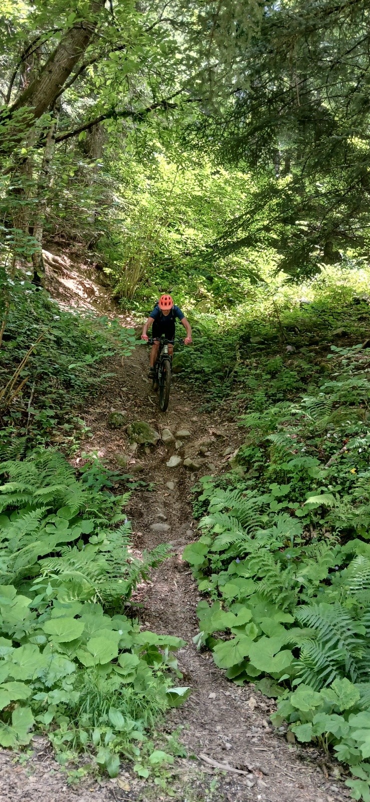 #10 La partie la plus raide sur les freins au dessus de 1000m. Peut être evitée par un sentier T2 pris à montée plus bas sur la route. La partie la plus raide sur les freins au dessus de 1000m. Peut être evitée par un sentier T2 pris à montée plus bas sur la route.