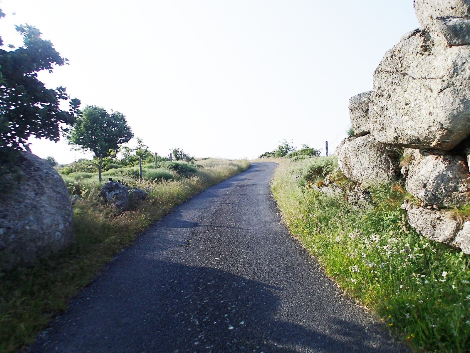 #54 Arrivée sur la "Cham de l Arrivée sur la \