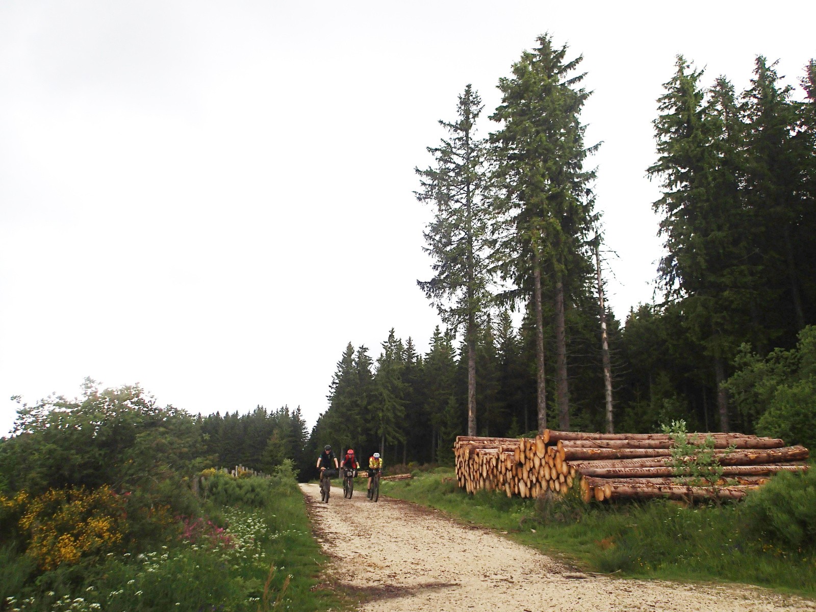 #23 Je les laisse à leur trip pour tourner vars le gîte du Sauvage ... bonne route les gars ! Je les laisse à leur trip pour tourner vars le gîte du Sauvage ... bonne route les gars !