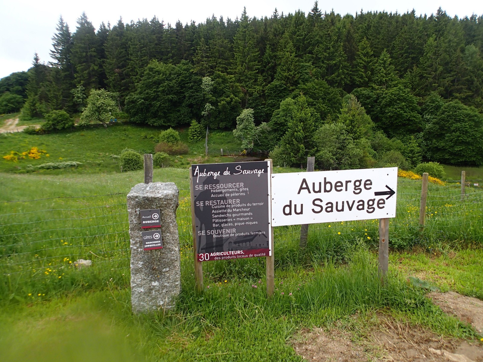 #24 Ayé, étape ! Ayé, étape !