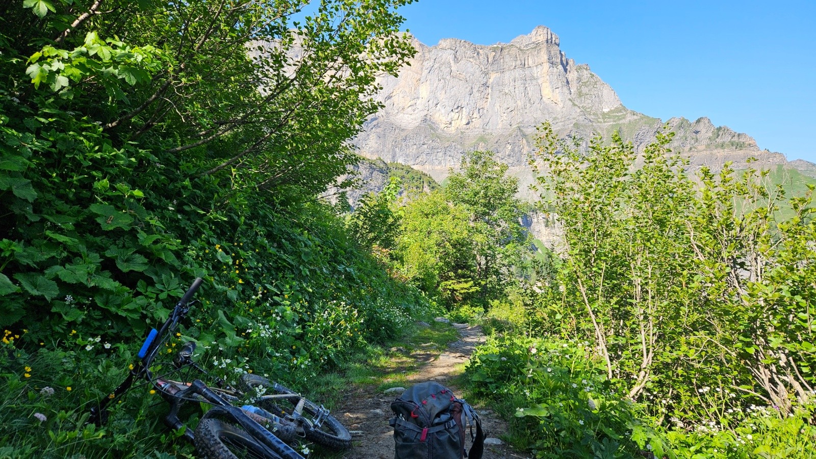 #1 Le sentier a eu droit à un gros nivelage jusqu’aux pylônes. Le sentier a eu droit à un gros nivelage jusqu’aux pylônes.