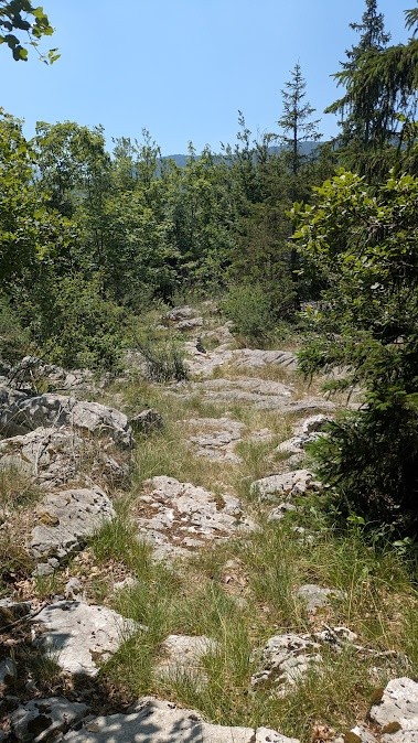 lapiaz sentier 1