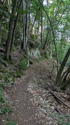 sentier des lacets