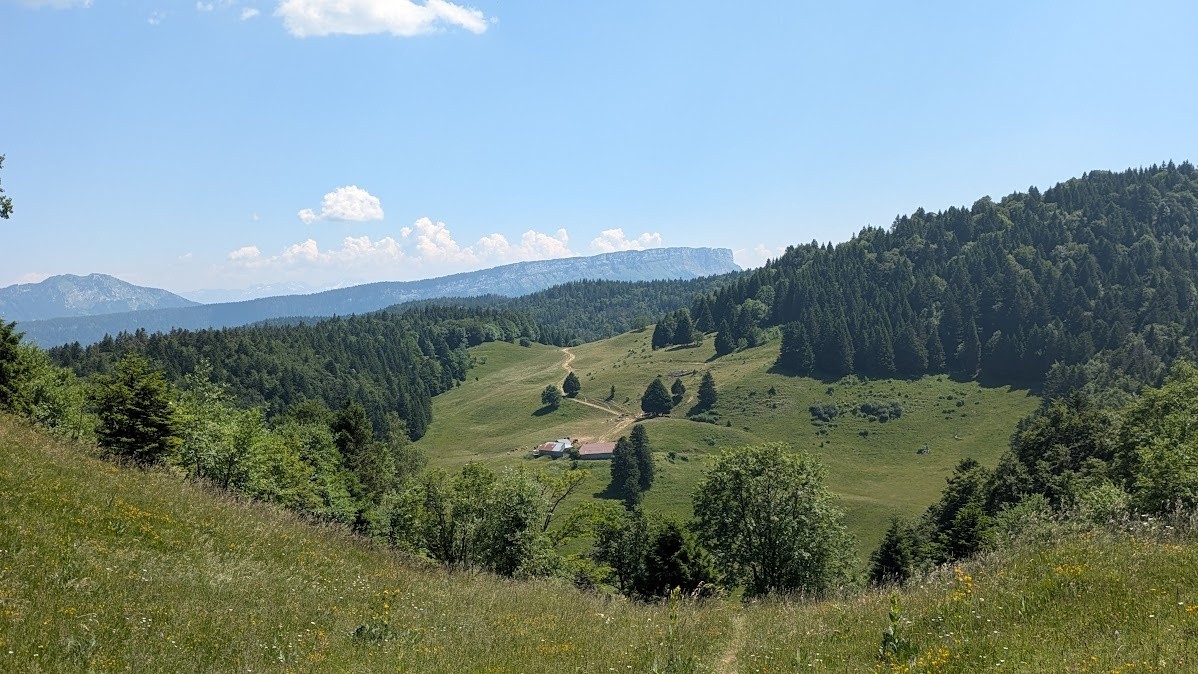 dernier collu avant la descente finale