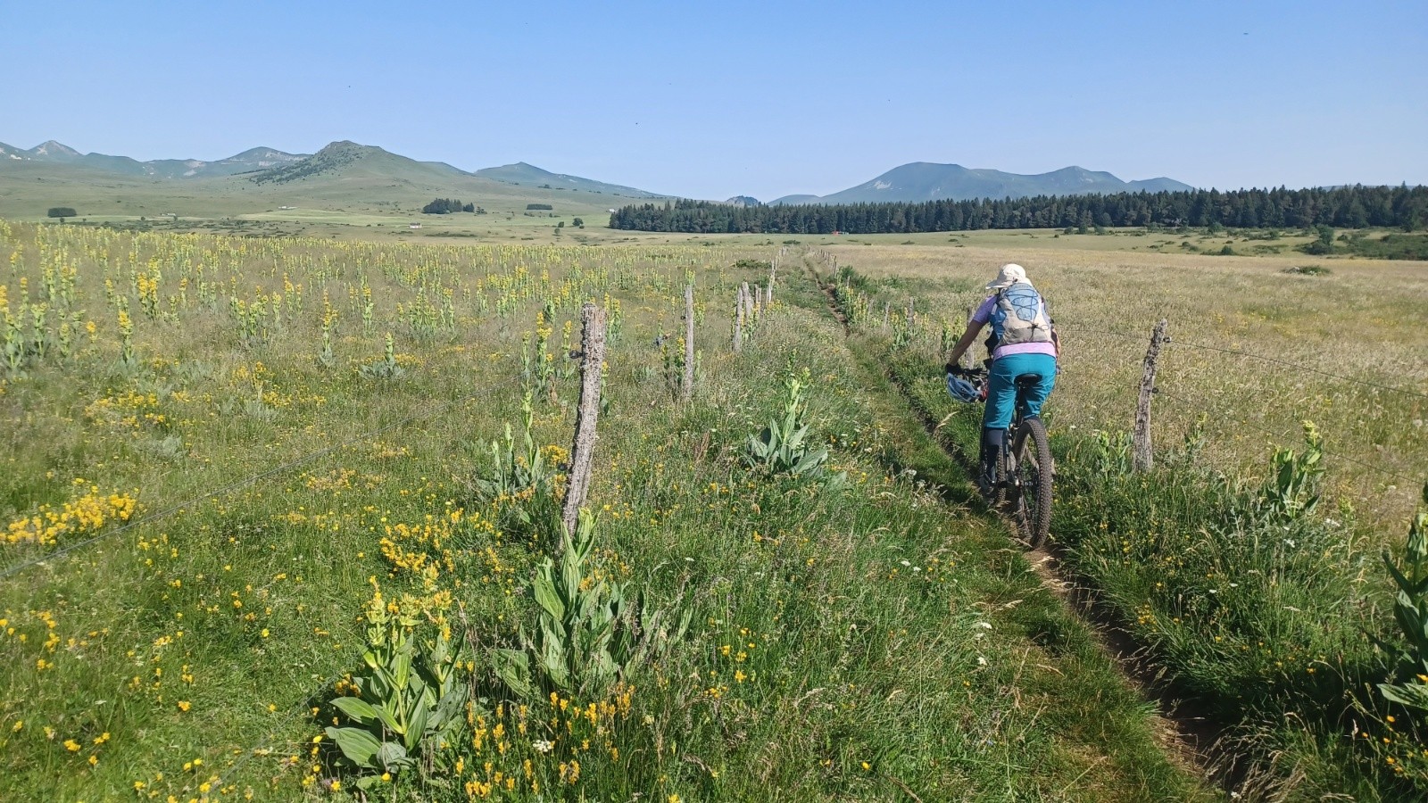 #22 Sur le GR30 vers Courbanges, massif du Sancy. Sur le GR30 vers Courbanges, massif du Sancy.