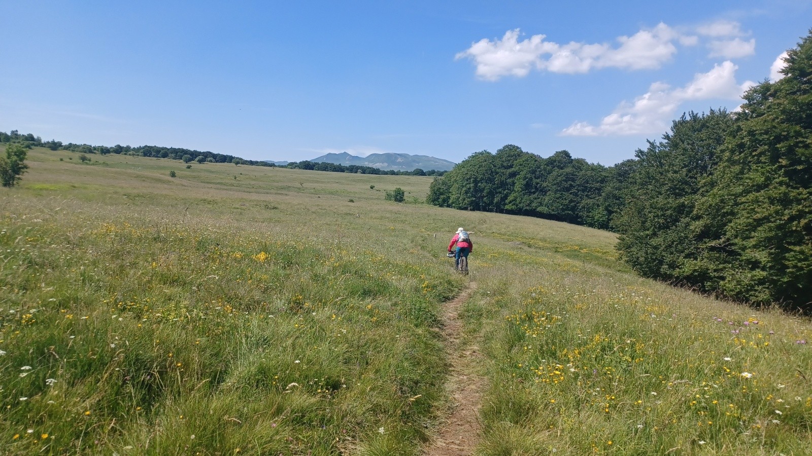 #17 Sentier monrtant vers le lac Chauvet. Sentier monrtant vers le lac Chauvet.
