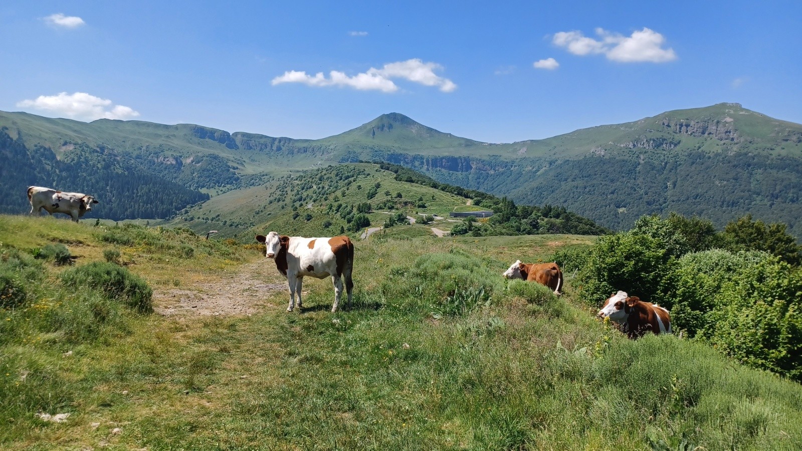 #9 Puy Mary. Puy Mary.