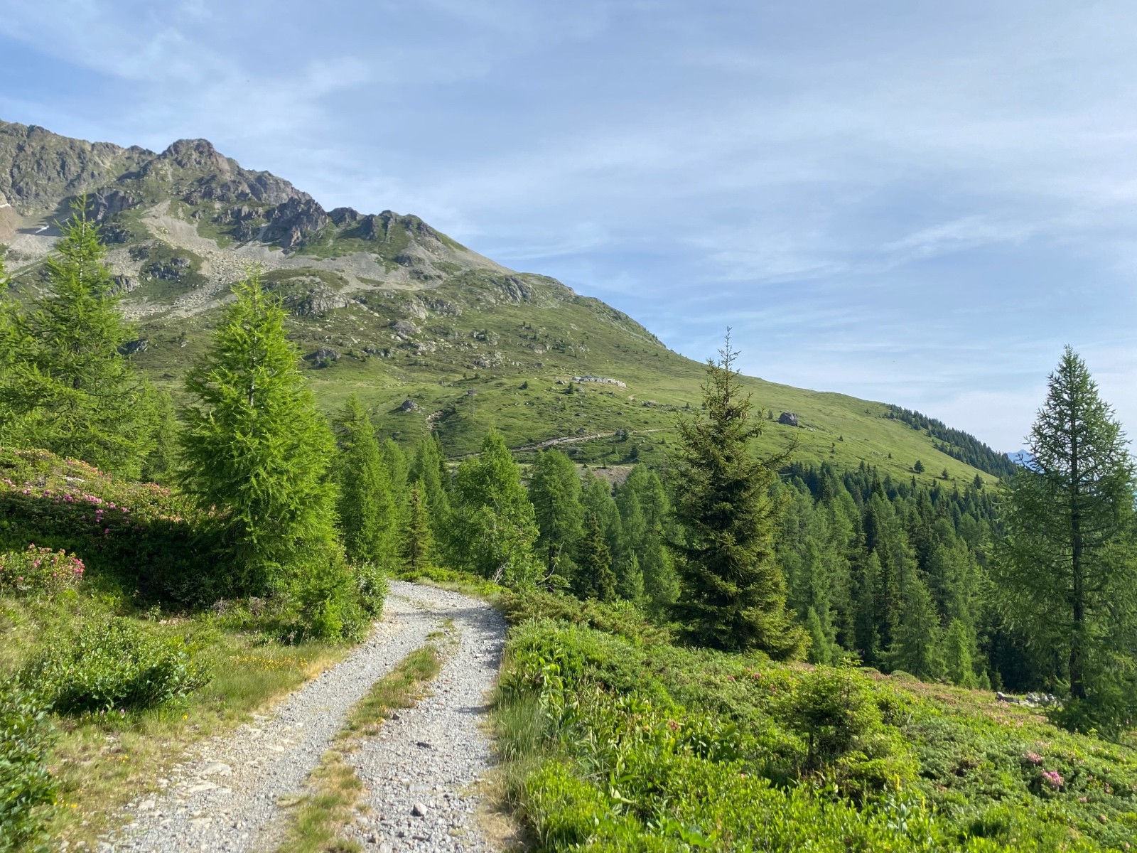 #1 montée à Loriaz montée à Loriaz