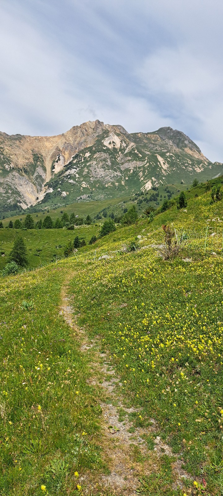 Sentier Balcon  