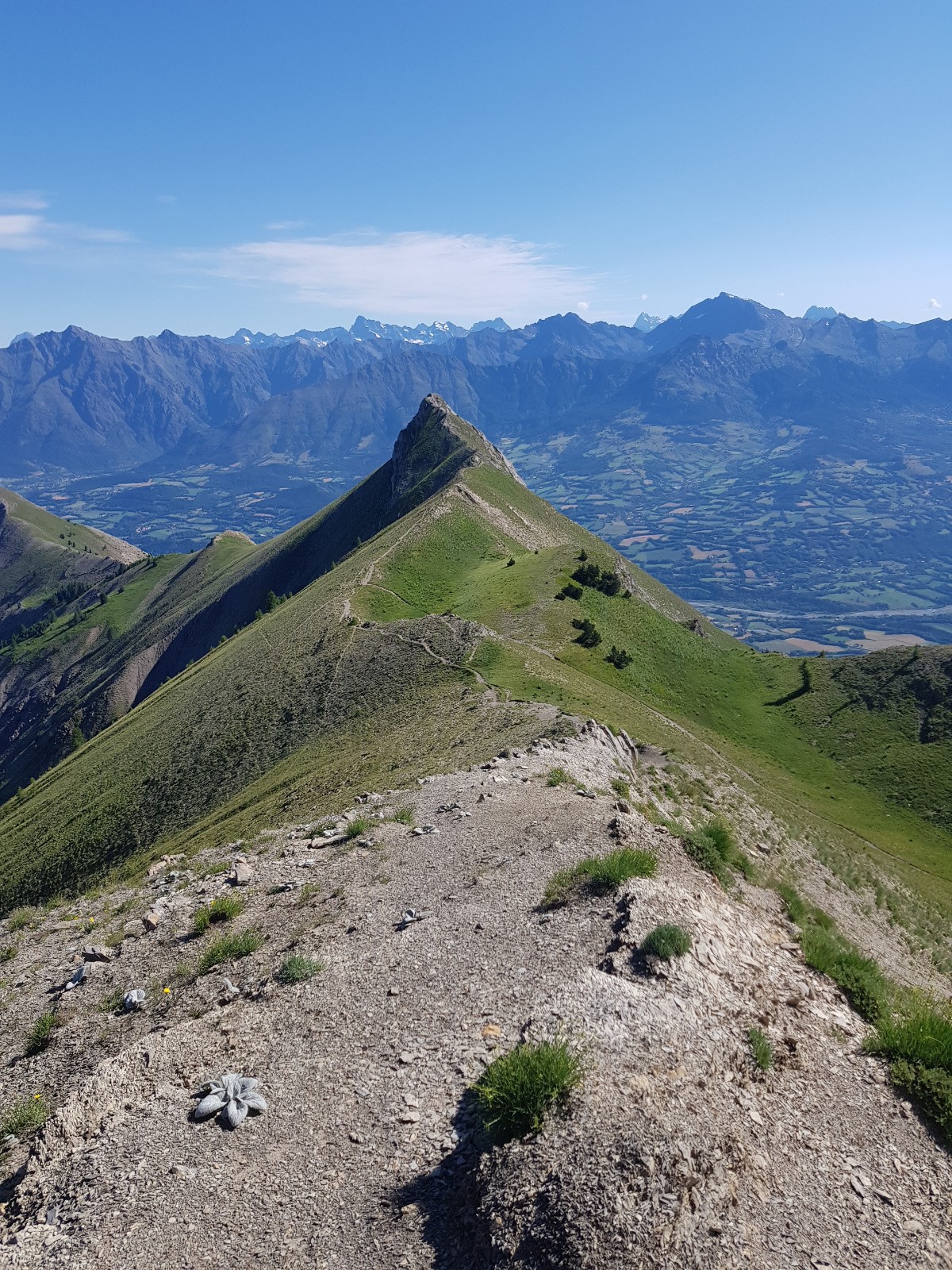 l'esthétique pic de l'Aiguille