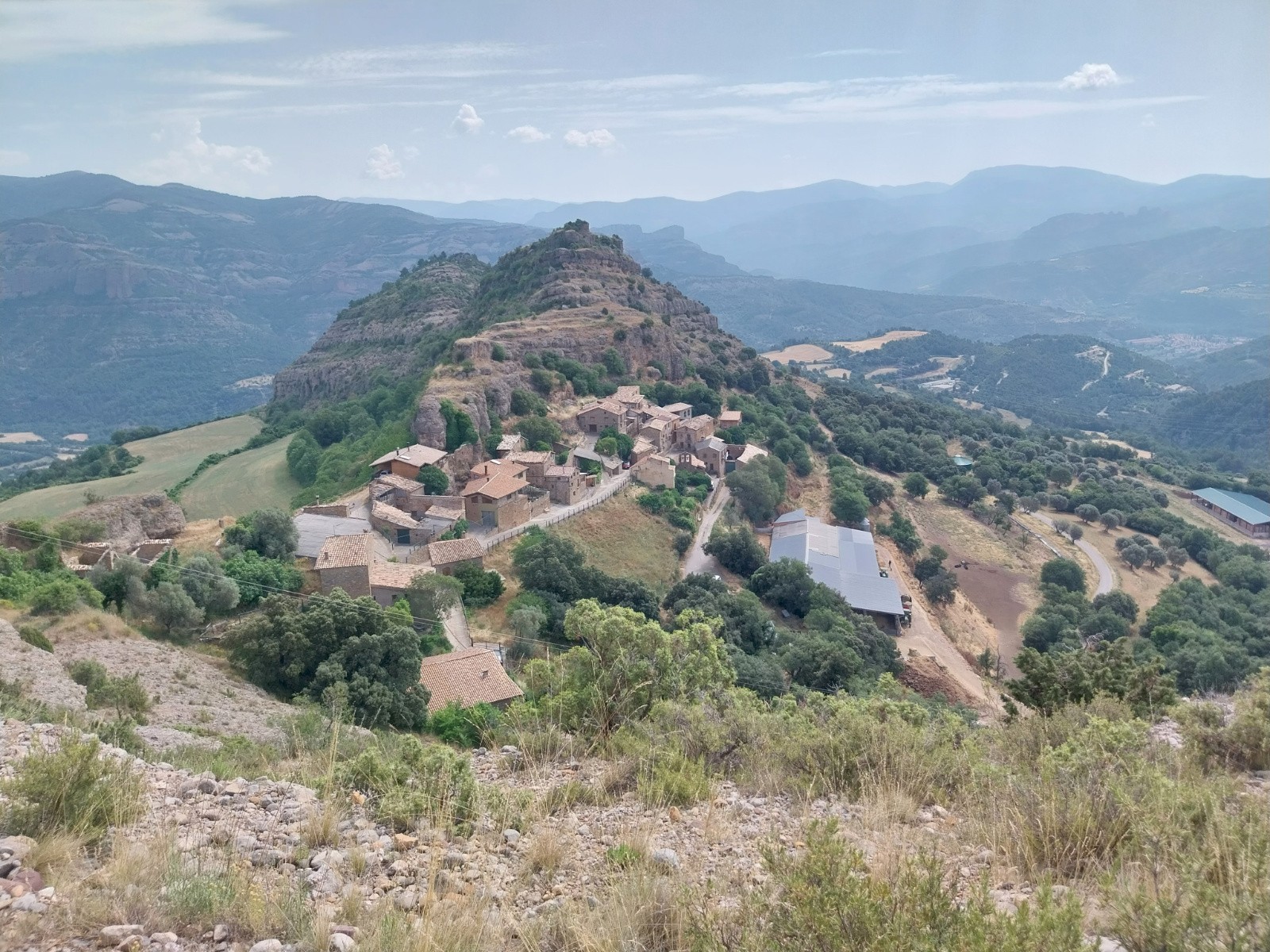 Toralla 