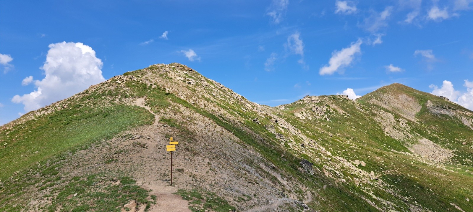 #6 Pas des Griffes Pas des Griffes