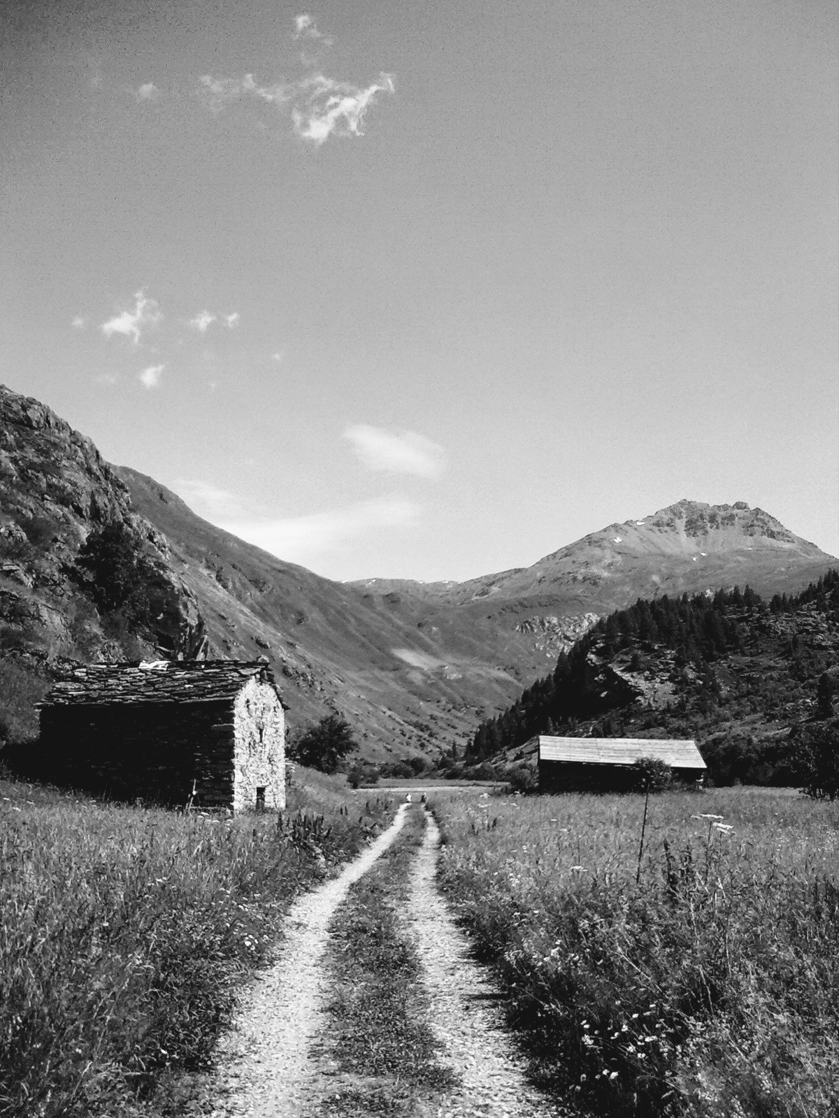 Chemin du petit bonheur